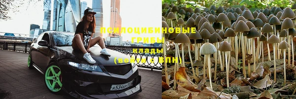 гидропоника Алексеевка