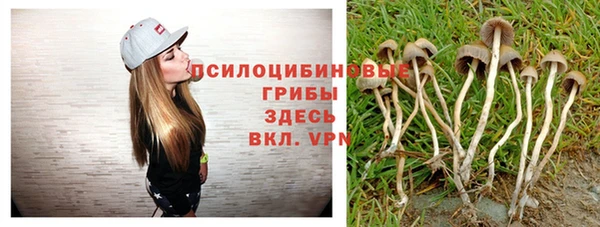 амф Алзамай