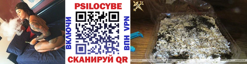 Купить закладки  Ростов  Псилоцибиновые грибы GOLDEN TEACHER 