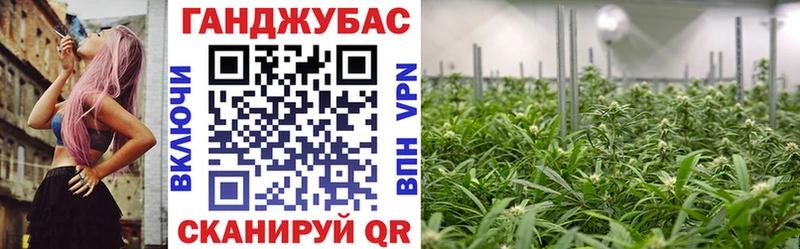 Бошки марихуана Amnesia  Купить закладки  Ростов 